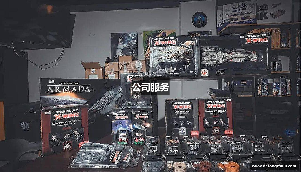 公司服务